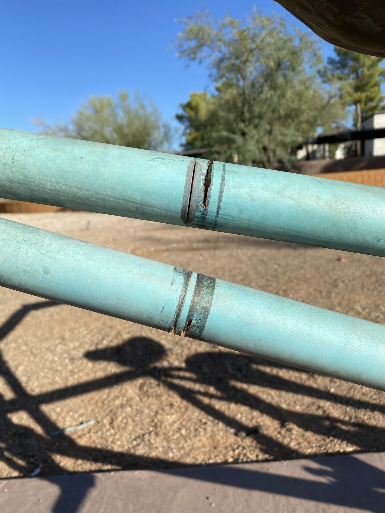 Tucson's bicycle-riding javelina sculpture taken down after damage